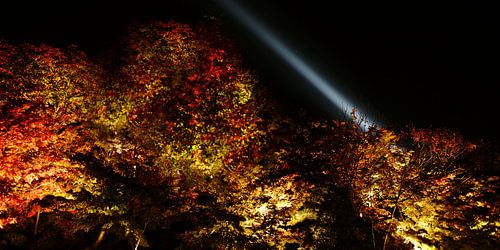 lichtinstallatie in kyoto