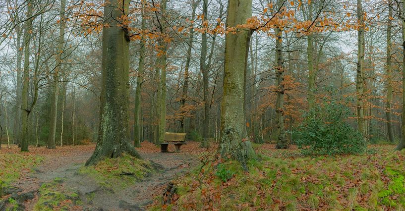 Die erste Bank zur Achterwei in Beetsterzwaag Opsterland Friesland von Ad Huijben