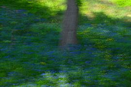PRINTEMPS 15 sur Miroslav Ptacek