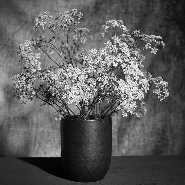 Flute herb bouquet in black and white by Herman Peters