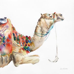 Woestijn kameel i, Aimee Del Valle van Wild Apple