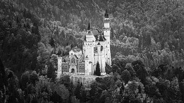 Le château de Neuschwanstein en noir et blanc