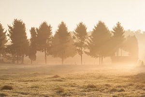 Gouden zonnestralen von Elroy Spelbos Fotografie