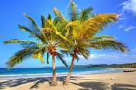 Bij Playa Rincon op het schiereiland Samaná van Roith Fotografie thumbnail