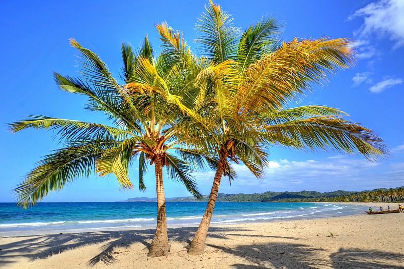 Bij Playa Rincon op het schiereiland Samaná van Roith Fotografie