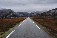 Paysage à Sandvatnet en Norvège