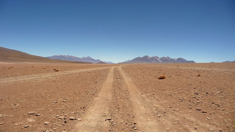 'Weg door woestijn', Bolivia von Martine Joanne