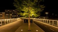 Pont moral II