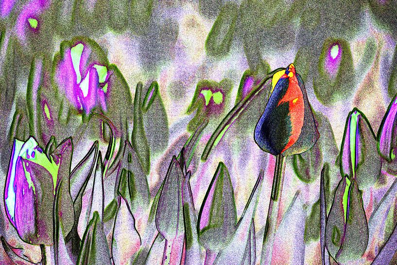 Abstraktes Tulpenfeld von Ina Muntinga
