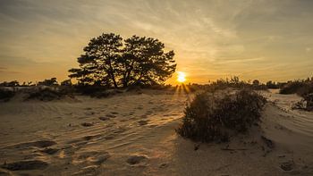Zonsondergang Aekingerzand 