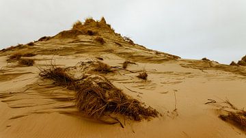 Dune Series I by Insolitus Fotografie