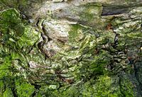 Kunst in de Natuur 3