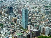 Tokyo met in het midden de Citytower Shinjuku Shintoshin van Wijbe Visser thumbnail