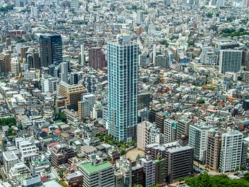 Tokyo met in het midden de Citytower Shinjuku Shintoshin van Wijbe Visser