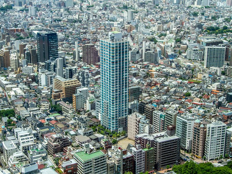 Tokyo met in het midden de Citytower Shinjuku Shintoshin par Wijbe Visser