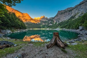 Alpenglans aan het meer van Gosau bij Dachstein van Dieter Meyrl