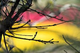 Sacre du printemps von Raoul Suermondt