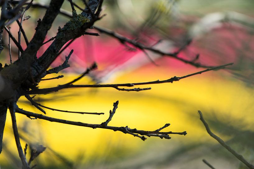 Sacre du printemps von Raoul Suermondt