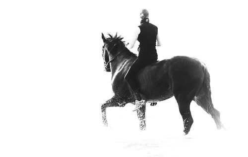 Horse Riding