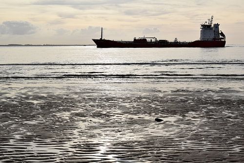 Ship in Westerschelde, passing close to the beach in evening light, Vlissingen