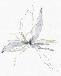 aquarelle numérique SILKY SOFT BLOOM