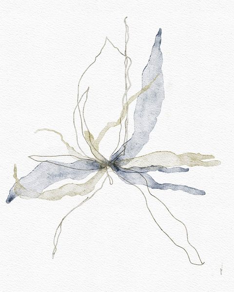 SILKY SOFT BLOOM digital watercolour by AnkieArt