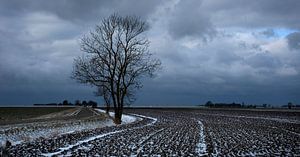 Noordpolder im Winter von Bo Scheeringa Photography