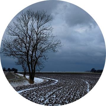 Noordpolder in de winter van Bo Scheeringa Photography