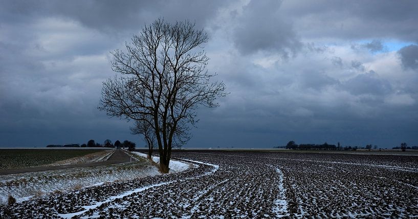 Les polders en hiver par Bo Scheeringa Photography