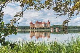 Moritzburg Castle, Saxony by Gunter Kirsch