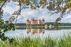 Schloss Moritzburg