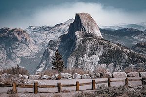 Half Dome in Yosemite National Park, Amerika van Daphne Groeneveld