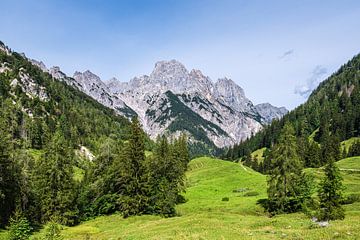 Gezicht op de Bindalm in het Berchtesgadener Land