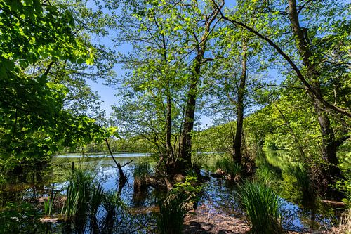 Lac Hertha, parc national de Jasmund, île de Rügen