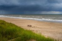 Stormy day at the beach