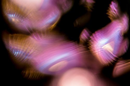 Paarse en Blauwe Hersengolven