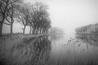 kampereiland