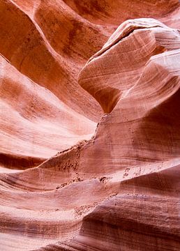Antelope Canyon (Lower), Page, Arizona, Amerika