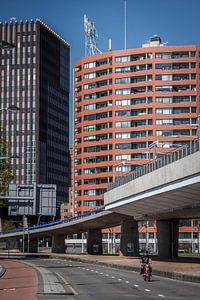 Rijnhaven Rotterdam