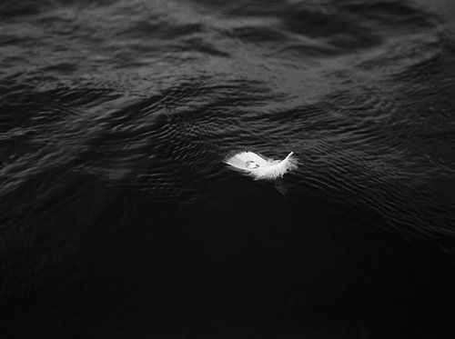Plume flottante avec une goutte d'eau - tirage photo lunaire