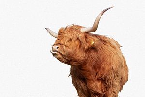 Scottish Highlander (photo with oil paint look) by Janine Bekker Photography