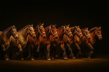 Werkpaarden. De kracht van samenwerking