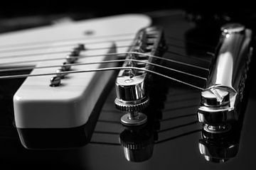 Gibson Les Paul - Fascinatie Rock Muziek van Rolf Schnepp