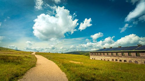 Bílá louka [I] van rosstek ®