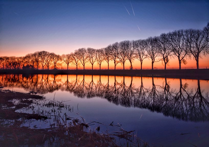 Blauwe uurtje by Wilma van Zalinge