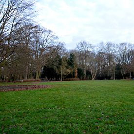 Ambiance automnale dans le parc sur Detlef Georgi