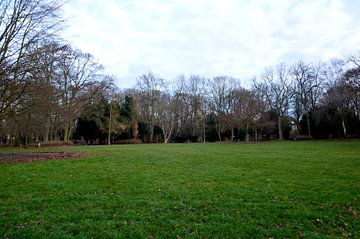 Herbststimmung im Park von Detlef Georgi