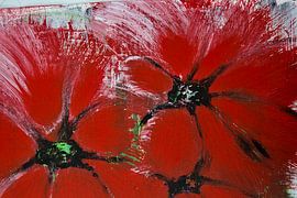 Ik ben rood! van Susanne A. Pasquay