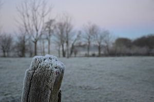 frost in the Netherlands sur Fraukje Vonk