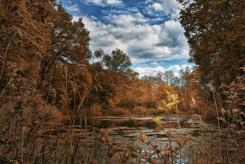 In Buxtehude par Bernd Garbers